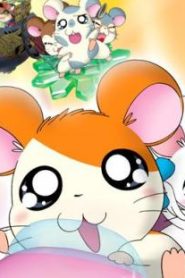 فلم همتارو في البذرة البلورية Hamtaro the Movie مدبلج عربي